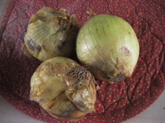 Onions, Ugly